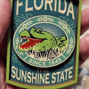 Florida Sunshine State Reptile Magnet - Green